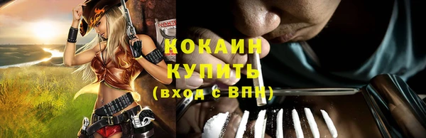 гидропоника Пенза