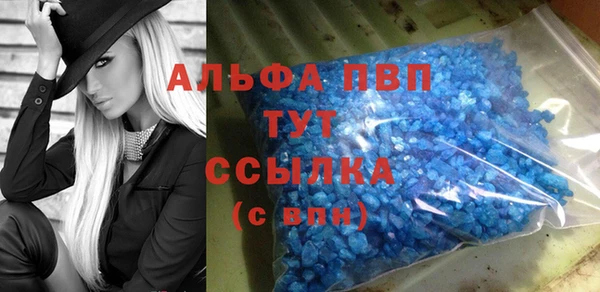 индика Балашиха