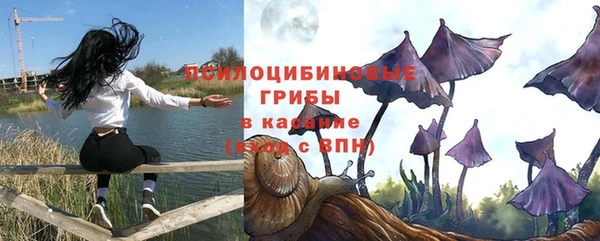 индика Балашиха