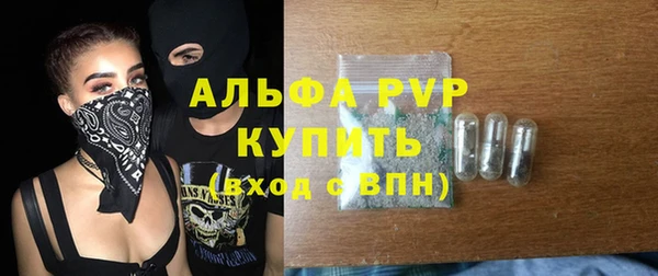 индика Балашиха