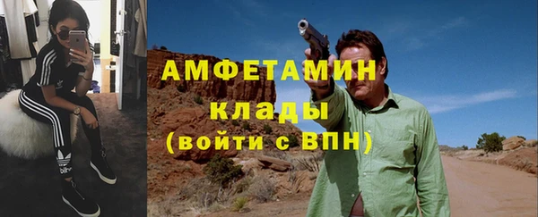 индика Балашиха