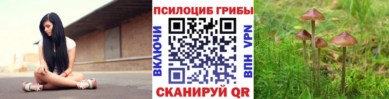 OMG как войти Курск Псилоцибиновые грибы ЛСД